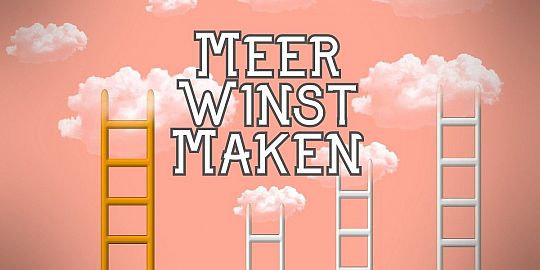 meer-winst-maken-1623677444.jpg